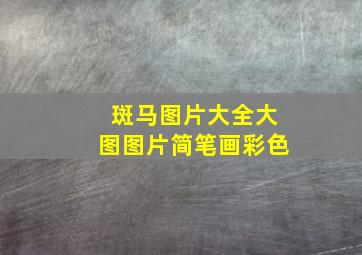 斑马图片大全大图图片简笔画彩色