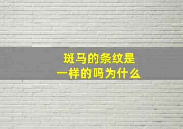 斑马的条纹是一样的吗为什么