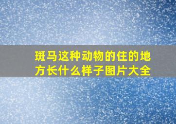 斑马这种动物的住的地方长什么样子图片大全