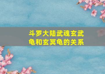 斗罗大陆武魂玄武龟和玄冥龟的关系