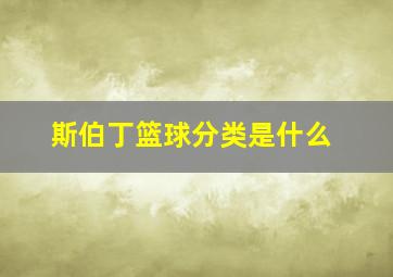 斯伯丁篮球分类是什么