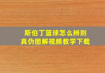 斯伯丁篮球怎么辨别真伪图解视频教学下载