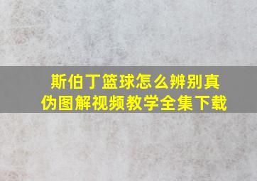 斯伯丁篮球怎么辨别真伪图解视频教学全集下载