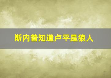 斯内普知道卢平是狼人