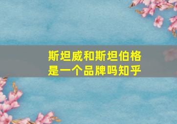 斯坦威和斯坦伯格是一个品牌吗知乎