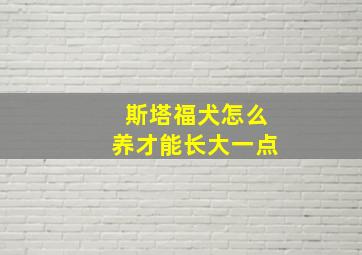 斯塔福犬怎么养才能长大一点