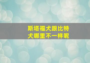 斯塔福犬跟比特犬哪里不一样呢