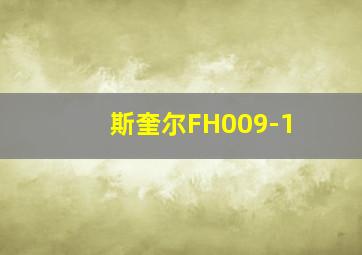 斯奎尔FH009-1