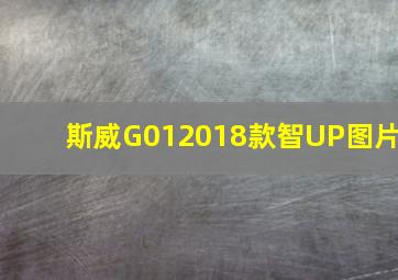 斯威G012018款智UP图片