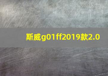 斯威g01ff2019款2.0