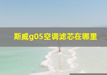 斯威g05空调滤芯在哪里