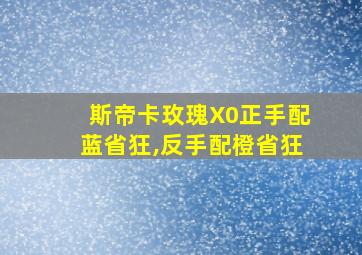 斯帝卡玫瑰X0正手配蓝省狂,反手配橙省狂