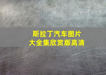 斯拉丁汽车图片大全集欣赏版高清