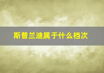 斯普兰迪属于什么档次