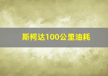 斯柯达100公里油耗