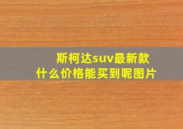 斯柯达suv最新款什么价格能买到呢图片