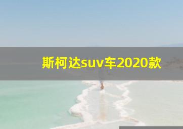 斯柯达suv车2020款