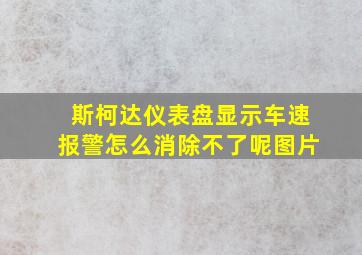 斯柯达仪表盘显示车速报警怎么消除不了呢图片