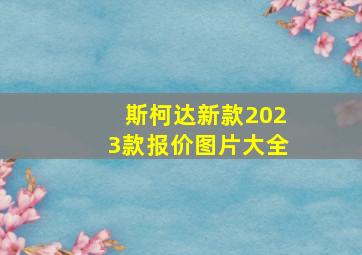 斯柯达新款2023款报价图片大全