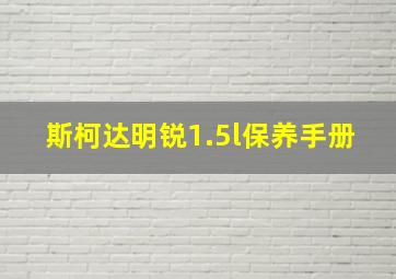 斯柯达明锐1.5l保养手册