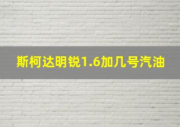 斯柯达明锐1.6加几号汽油