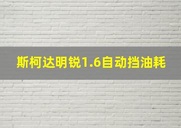 斯柯达明锐1.6自动挡油耗