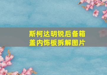 斯柯达明锐后备箱盖内饰板拆解图片