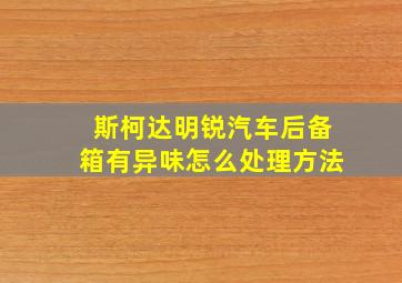 斯柯达明锐汽车后备箱有异味怎么处理方法