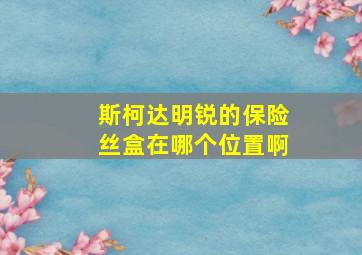 斯柯达明锐的保险丝盒在哪个位置啊