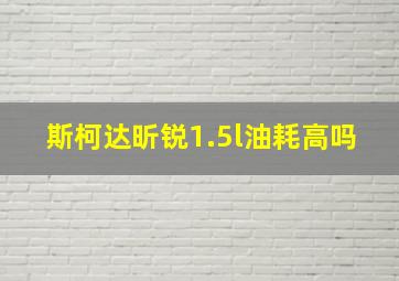 斯柯达昕锐1.5l油耗高吗