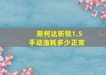 斯柯达昕锐1.5手动油耗多少正常