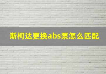 斯柯达更换abs泵怎么匹配