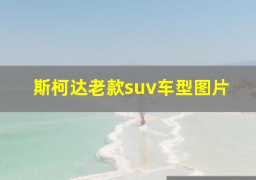 斯柯达老款suv车型图片