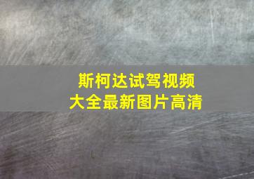 斯柯达试驾视频大全最新图片高清