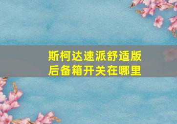 斯柯达速派舒适版后备箱开关在哪里