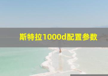 斯特拉1000d配置参数