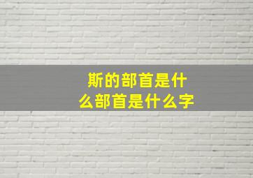 斯的部首是什么部首是什么字