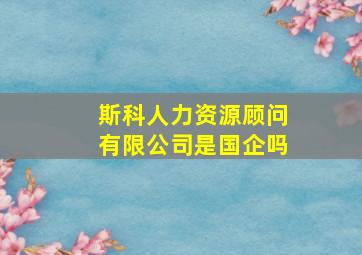 斯科人力资源顾问有限公司是国企吗