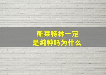 斯莱特林一定是纯种吗为什么