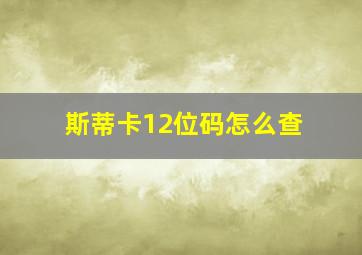 斯蒂卡12位码怎么查