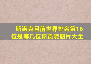 斯诺克目前世界排名第16位是哪几位球员呢图片大全