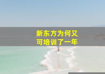 新东方为何又可培训了一年