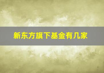 新东方旗下基金有几家