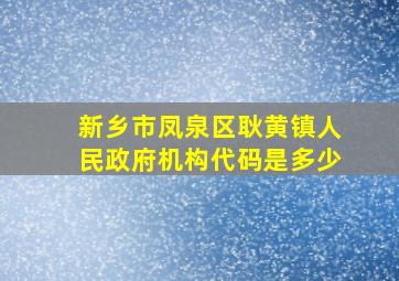 新乡市凤泉区耿黄镇人民政府机构代码是多少