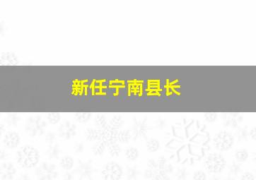 新任宁南县长