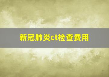 新冠肺炎ct检查费用