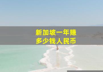 新加坡一年赚多少钱人民币