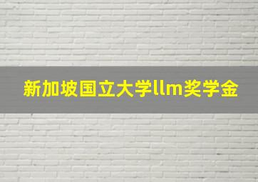 新加坡国立大学llm奖学金