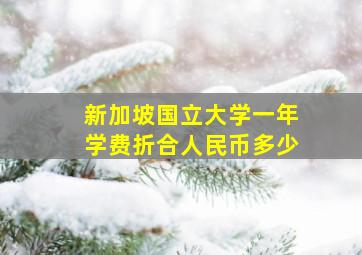 新加坡国立大学一年学费折合人民币多少