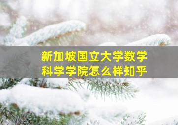 新加坡国立大学数学科学学院怎么样知乎